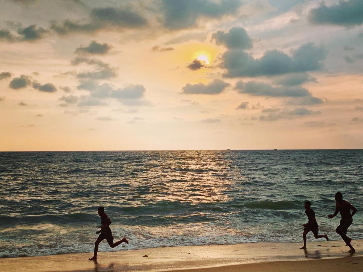 Peacock Villa Marari Beach Mararikulam Ngoại thất bức ảnh
