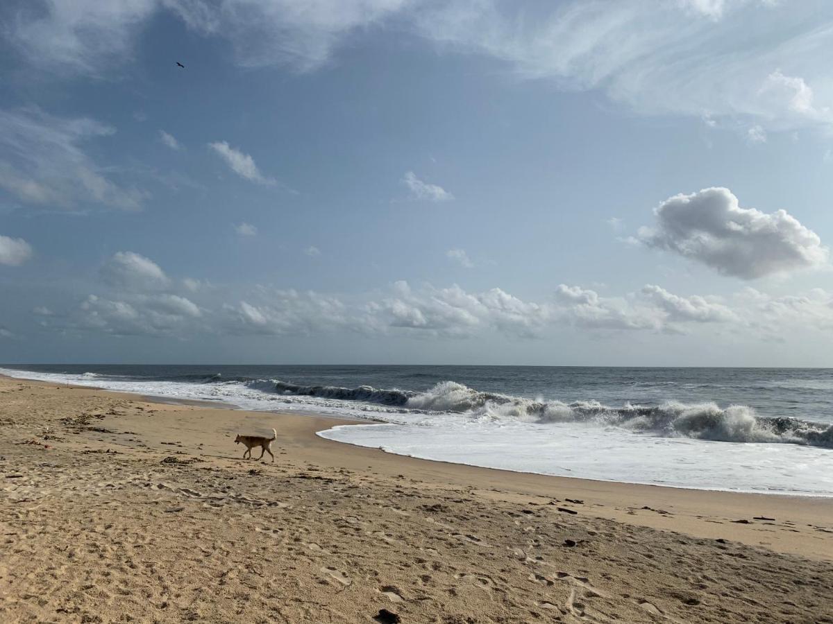Peacock Villa Marari Beach Mararikulam Ngoại thất bức ảnh